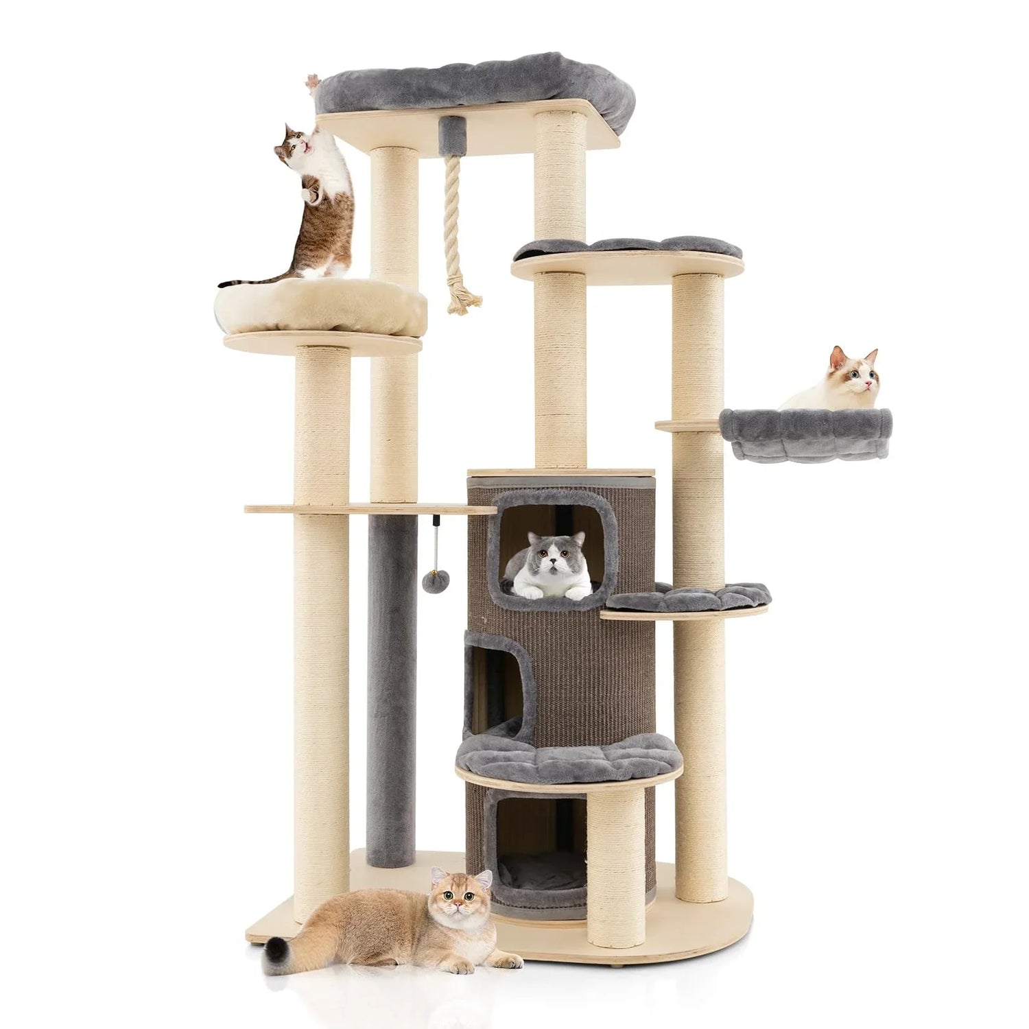 Cat Homes